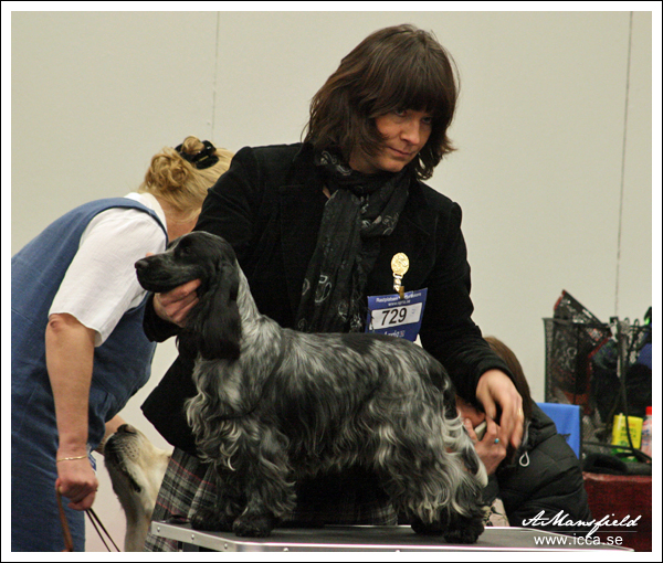 Lowa MyDog, Gbg 2010