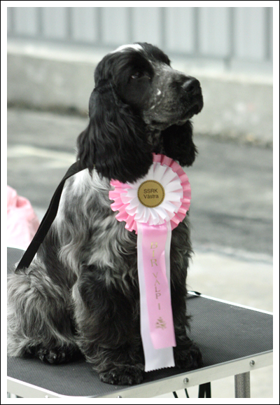 Irma La Douce vom Schloss Hellenstein
