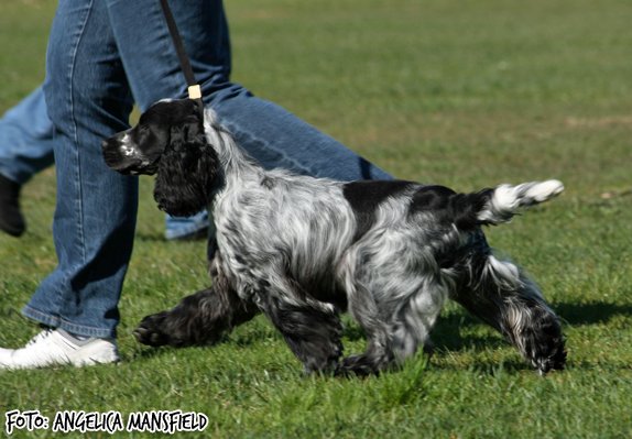 Irma La Douce vom Schloss Hellenstein