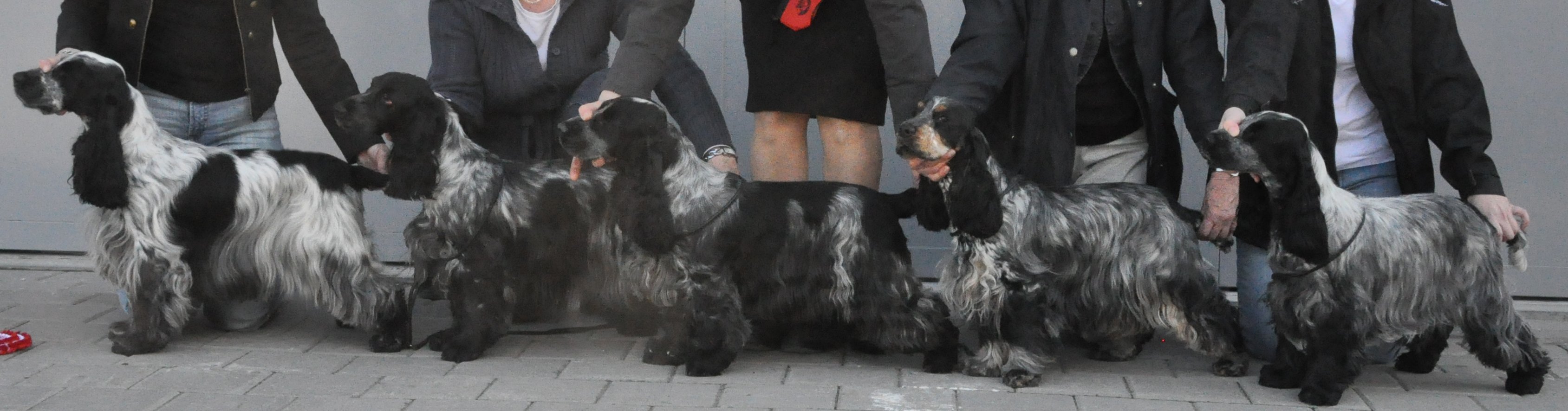 Irma La Douce vom Schloss Hellenstein