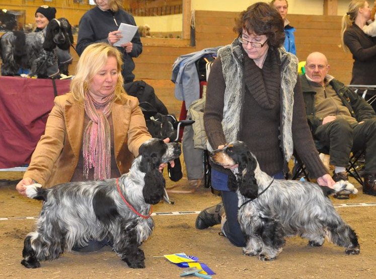 Irma La Douce vom Schloss Hellenstein