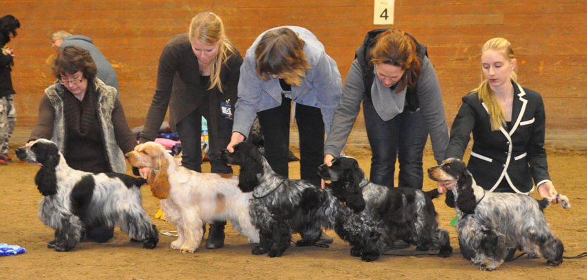 Irma La Douce vom Schloss Hellenstein