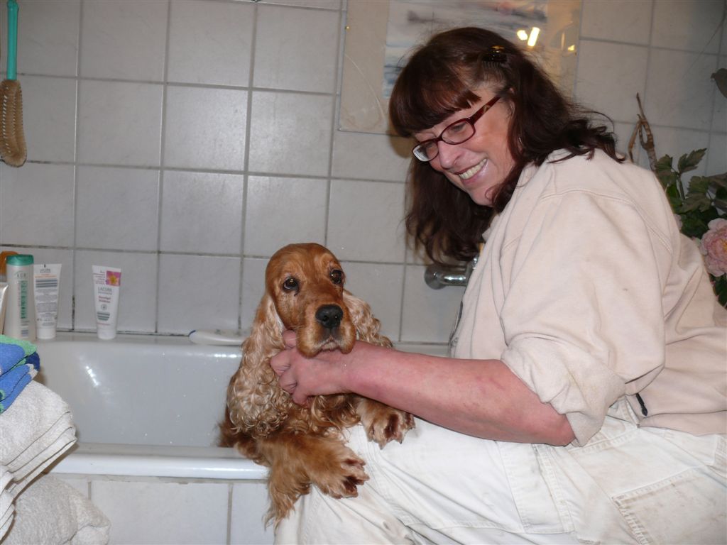 Northworth Point of Waves