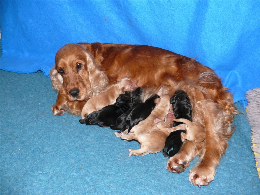 Northworth Point of Waves